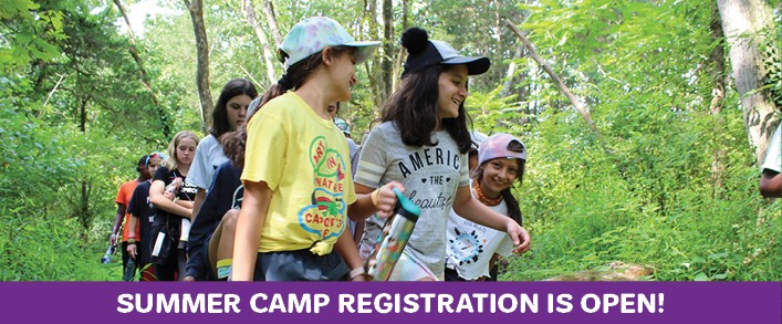 camp header camp header
