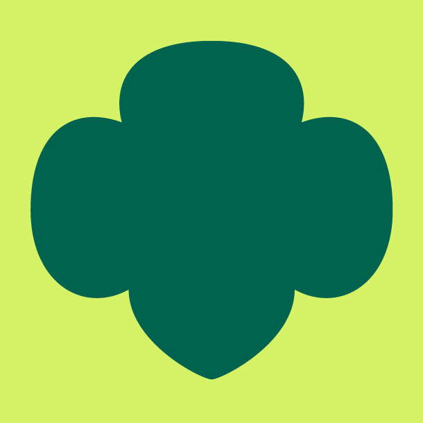 Bronze Award Completed April 2025